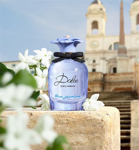 dolce and gabbana jasmine